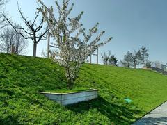 Baakenpark with newly planted trees and future swings