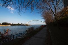 Humber Bay Arch Bridge