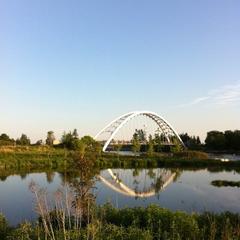 Remote view of the Martin Goodman Trail bridge over the Humber river