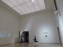 Moritz Nähr exhibition at Leopold Museum, Vienna, September 2018