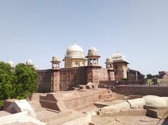 Tomb view from the terrace of remains at Raja Harsh ka Tila