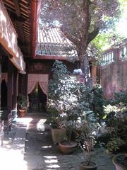 indoor garden in an old house in Hoi An, Vietnam