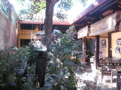 Indoor garden in a historic house in Hoi An, Vietnam