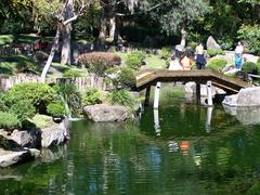 Parque Colomos Japanese garden in Guadalajara, Mexico