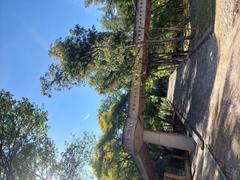 scenic view of Bosque Colomos in Guadalajara, Jalisco