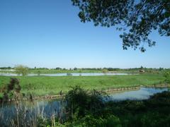 Scenic view of Seudre marshlands in Saujon