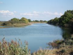 La Seudre River at Saujon
