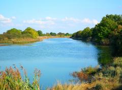La Seudre river at Saujon
