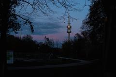 Olympic tower framed by trees with afterglow