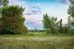 Scenic view towards Zons from Urdenbacher Kämpen nature reserve