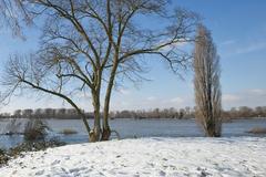 flooded Urdenbacher Kämpe during winter with snow