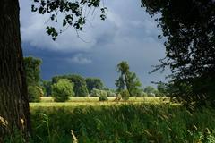 Düsseldorf Urdenbacher Kämpe before a storm