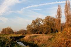 Herbst am Urdenbacher Altrhein