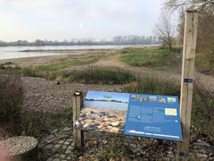 Rhine river floodplain in Urdenbach, Düsseldorf