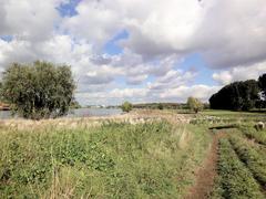 scenic view of Urdenbacher Kämpe protected area