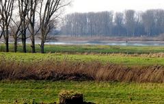 Floodplain of the Rhine in Urdenbach, Düsseldorf