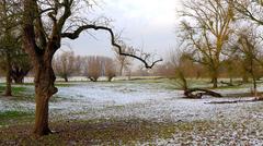 Rhein floodplain in Urdenbach, Düsseldorf