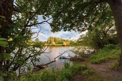 Urdenbacher Kämpe nature reserve with Altrhein and vegetation