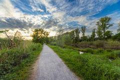 Walking path near Urdenbacher Altrhein