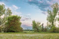 Evening view towards Zons from Urdenbacher Kämpen