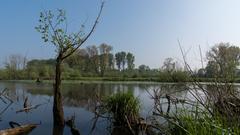 Natural landscape with a depth of field effect