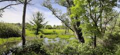 Naturschutzgebiet im Bereich des Altrheins Düsseldorf Monheim am Rhein