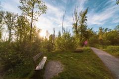 Scenic view of a bank and walking path along the Urdenbacher Altrhein