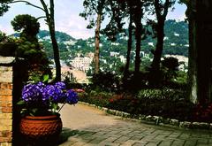 Gardens of Augustus in Capri