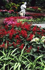 Gardens of Augustus on Capri Island