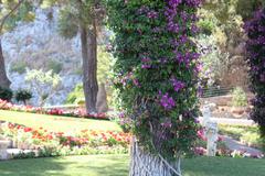 Gardens of Augustus in Capri, Italy