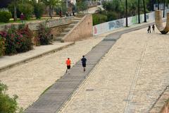 view from Puente de Isabel II in Seville