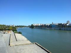 Seville cityscape with historic buildings under a clear blue sky