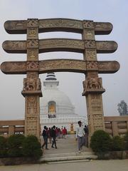 artificial gate main entrance IP Park Delhi