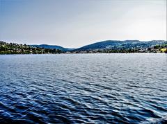 west side of Gérardmer lake viewed from the boat