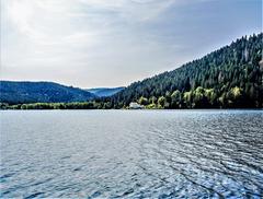 south side of Gérardmer Lake viewed from a boat