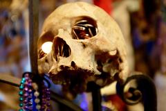 human skull at the Voodoo Museum in New Orleans