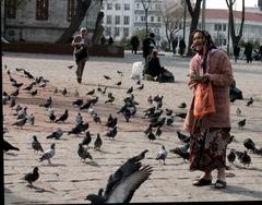 elderly woman feeding pigeons at Beyazit Square