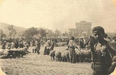 Sheep in 1892 at Beyazit Square