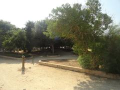 Foro Italico garden in Palermo, Sicily, Italy