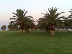 Foro Italico garden in Palermo