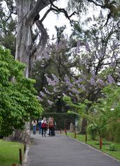 Japanese Garden in Buenos Aires