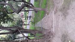 Little hill at parque de la bombilla with white brick stairs