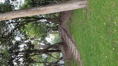 Hill at Parque de la Bombilla with stairs and surrounding trees