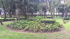 circular arrangement of plants in Parque la Bombilla