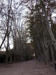 Parc de la Devesa in Girona