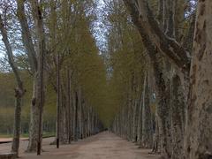 Parc de la Devesa in Girona with trees and pathways