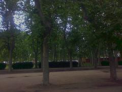 Devesa de Girona park with trees and pathways