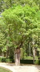 Els Jardins de la Devesa in Girona