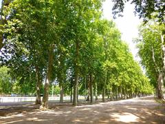 Parque y Jardín de la Devesa in Gerona