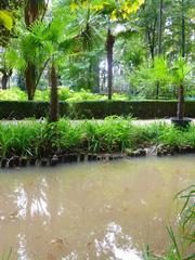 Parque y Jardín de la Devesa Gerona